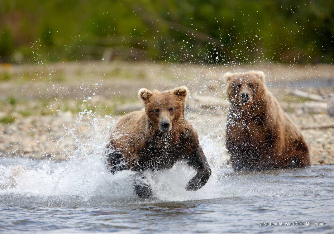 Plot Your Course: 8 Ways to Explore Alaska