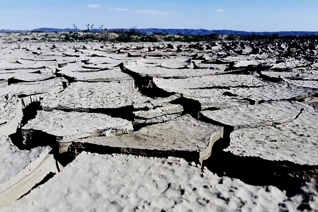 Dried Mud