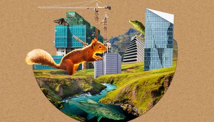 Five Astounding Ways Humans Are Driving Animal Evolution, Including Causing Lizards to Grow Longer Legs and Leading Moth Populations to Become Darker