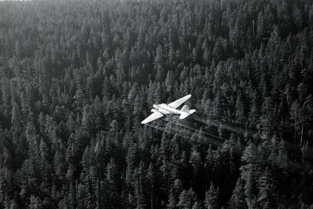 DDT Spraying