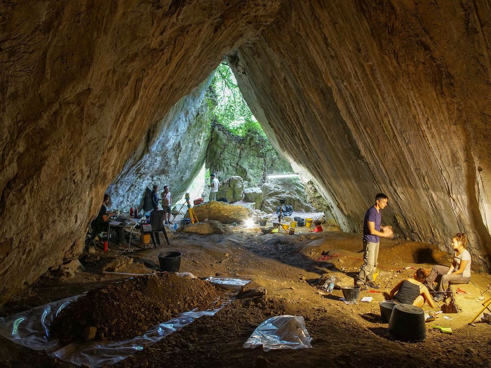 Excavators at the infant burial site in the Arma Veirana cave in Italy