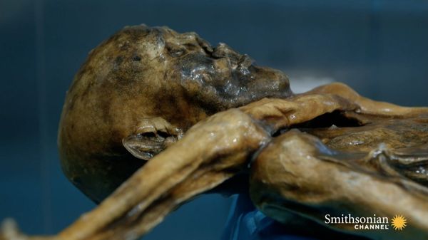 Preview thumbnail for This 5,300 Year-Old Corpse Was Found by Accident