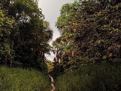 Lost-Tribes-of-the-Amazon-jungle-631.jpg