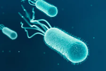 The bacterium Escherichia coli, shown here, moves itself with propeller-like structures called flagella; it is one of the mobile microbes scientists have linked to cargo-carrying structures to form biohybrid microrobots.