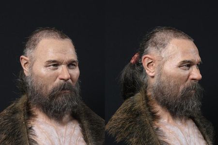 Facial reconstruction of a Scandinavian hunter-gatherer who was buried with a wooden stake at the base of his skull