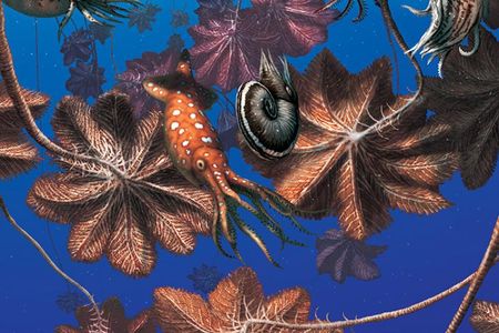 Scientists think gigantic crinoids would cling to logs with anchor-like stems, creating a floating raft that likely supported a host of other species and enabled their long-distance transport across Jurassic seas.
