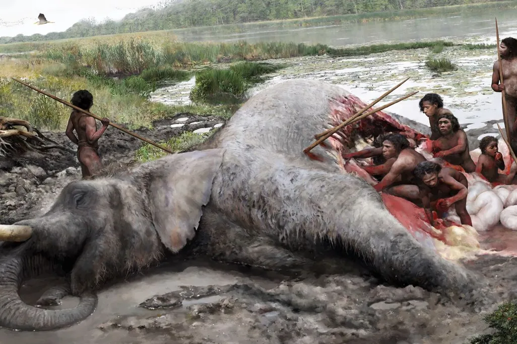 artistic rendering of Neanderthals butchering an elephant