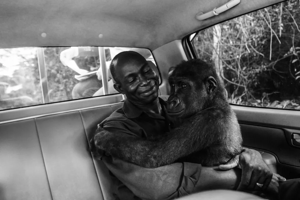 WINNER © Jo-Anne McArthur - Wildlife Photographer of the Year (1).jpg