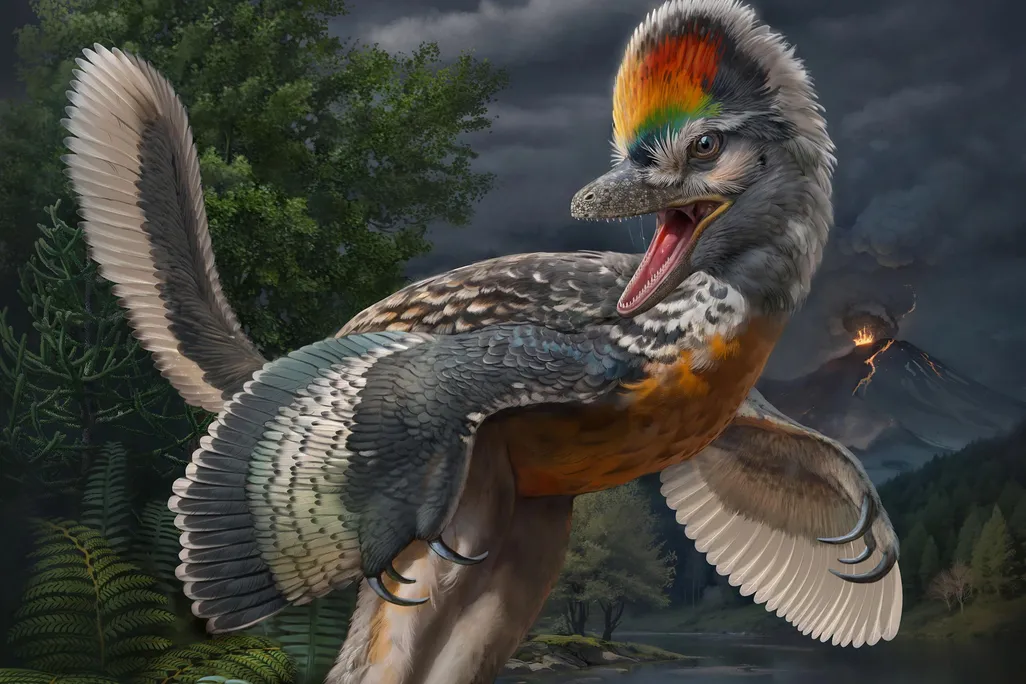 Illustration of bird-like dinosaur