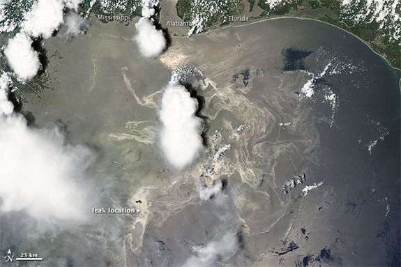 Oil hangs in the water following the blow-out of the Macondo well, June 19, 2010.