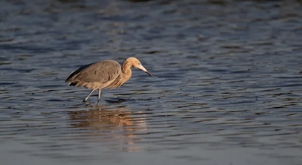 Aerial Beads thumbnail
