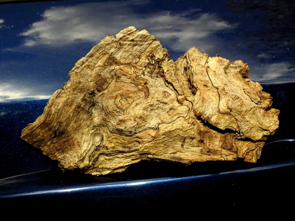 Grain of Wood Carved by Nature thumbnail