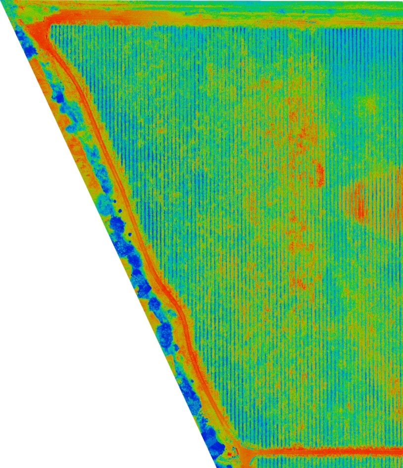 Drone Scout NDVI