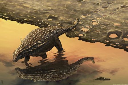 The footprints of ankylosaurs and other 122-million-year-old dinosaurs are preserved outside Moab, Utah.