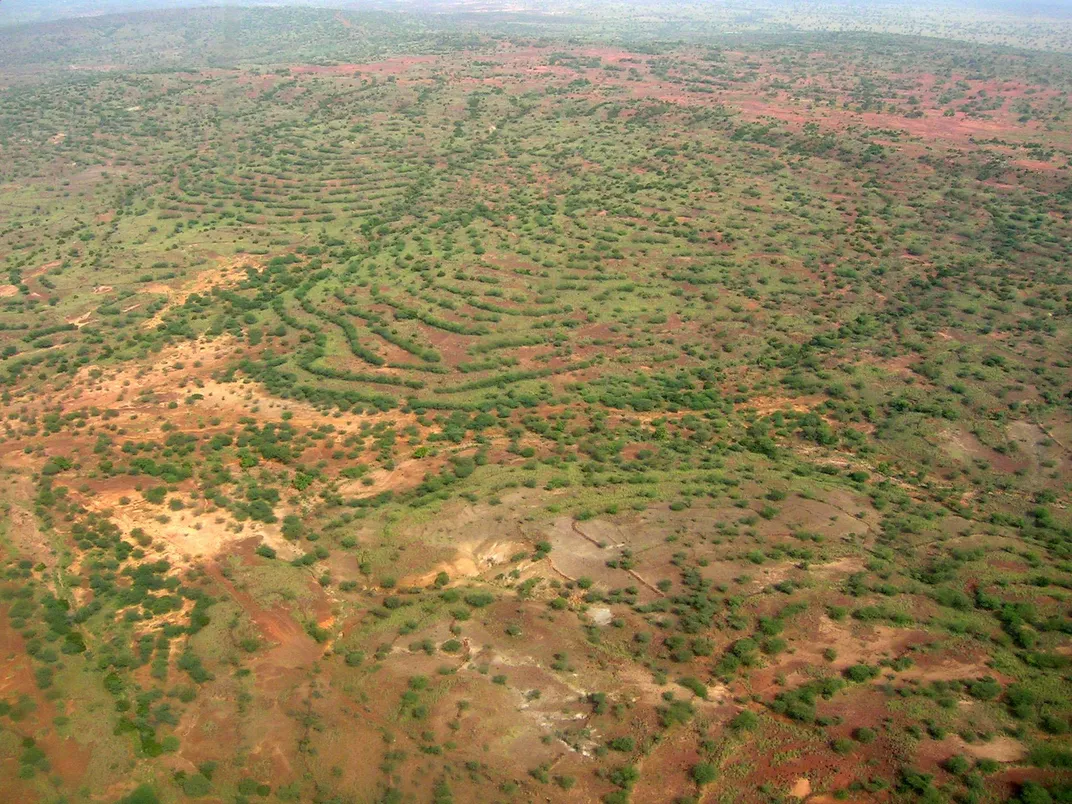 The “Great Green Wall” Didn’t Stop Desertification, but it Evolved Into Something That Might