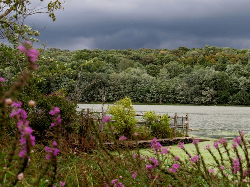 Sunset over Lake Osceola Smithsonian Photo Contest Smithsonian Magazine
