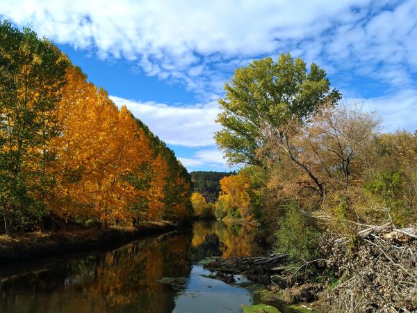 The kingdom of autumn thumbnail