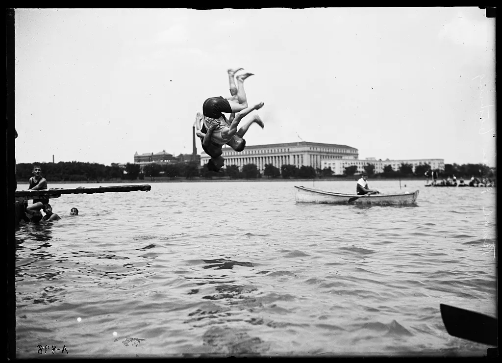 Swimmers in the Tidal Basin