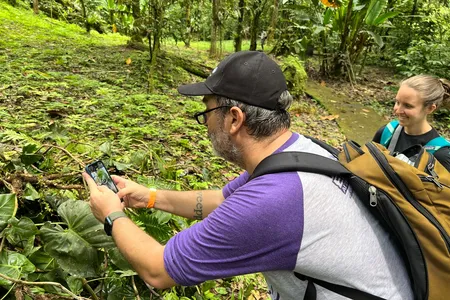 One of the most popular species identification tools is iNaturalist. Since its creation in 2008, the app has logged more than 145 million observations from around the world.