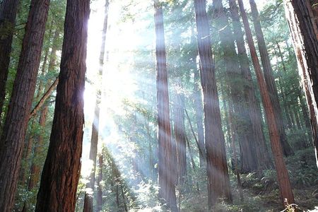 Keep on the sunny side