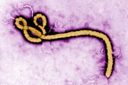 A new vaccine is ready for action in the Democratic Republic of Congo. 