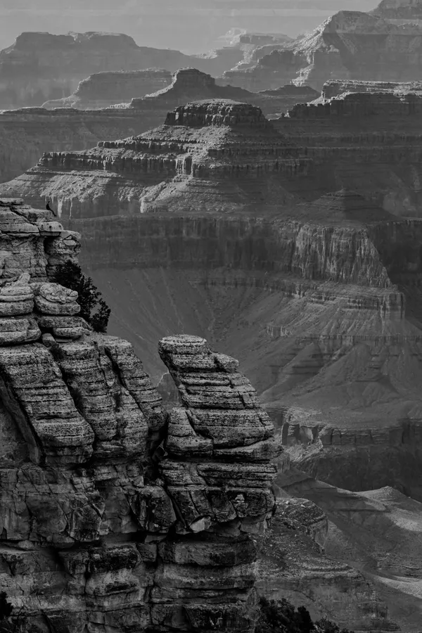 Contemplating the Grand Canyon thumbnail