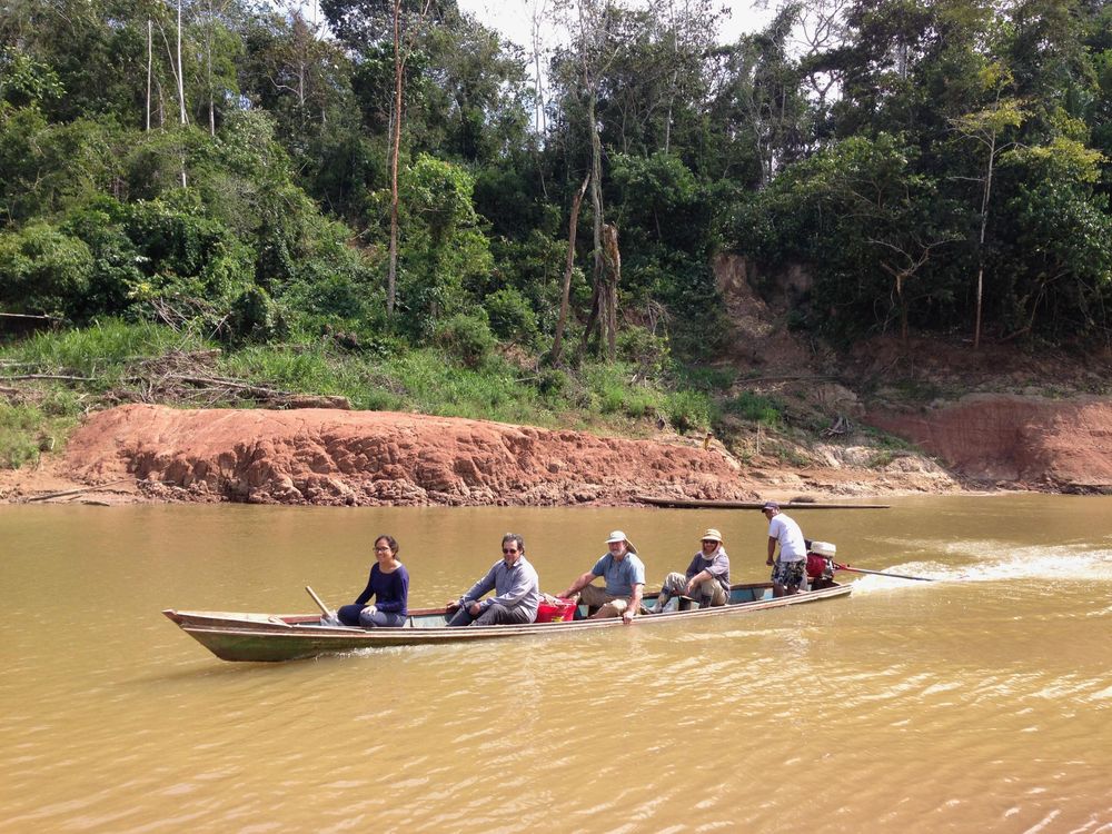 Rio Yurúa