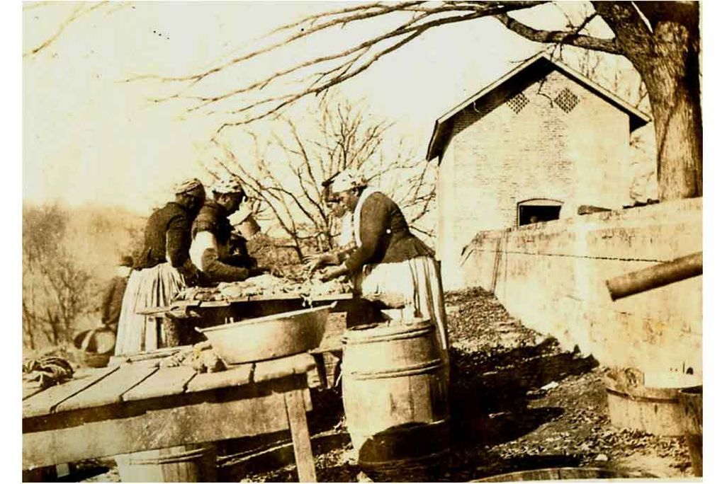 Pork-Processing-at-WessyngtonWEB.jpg