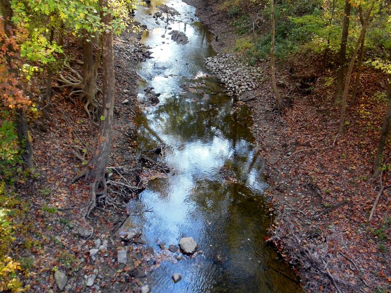 winding creek Smithsonian Photo Contest Smithsonian Magazine