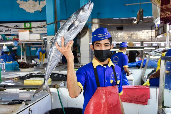 Fish Seller thumbnail