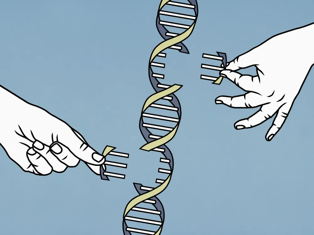 illustration of hands editing a DNA double helix