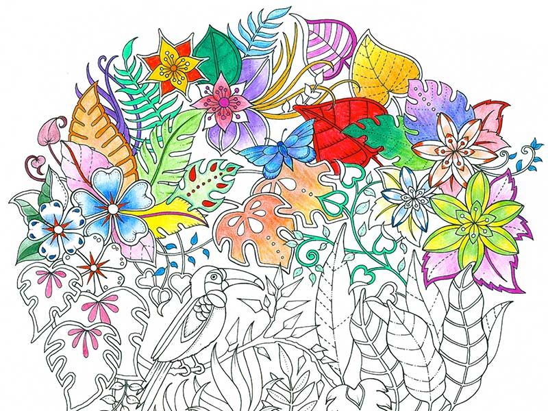 Just when you thought the adult colouring book market was saturated