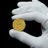 Amateur Treasure Hunter Unearths Rare 14th-Century Gold Coin icon