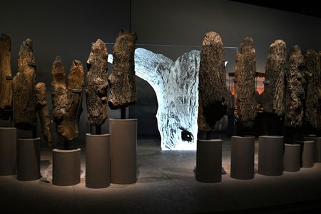 Components of Seahenge, or Holme I, were displayed at the British Museum in 2022.