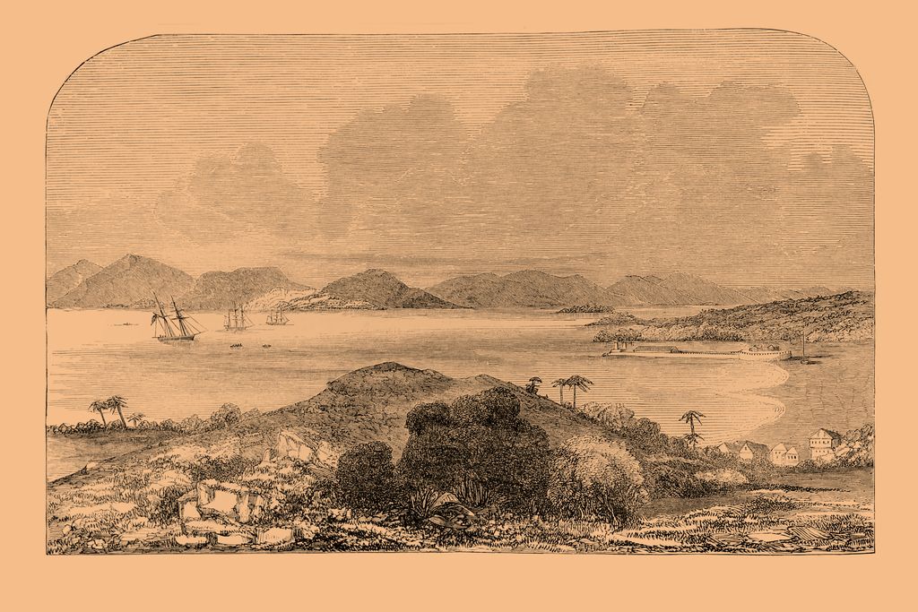 An illustration of ships at port