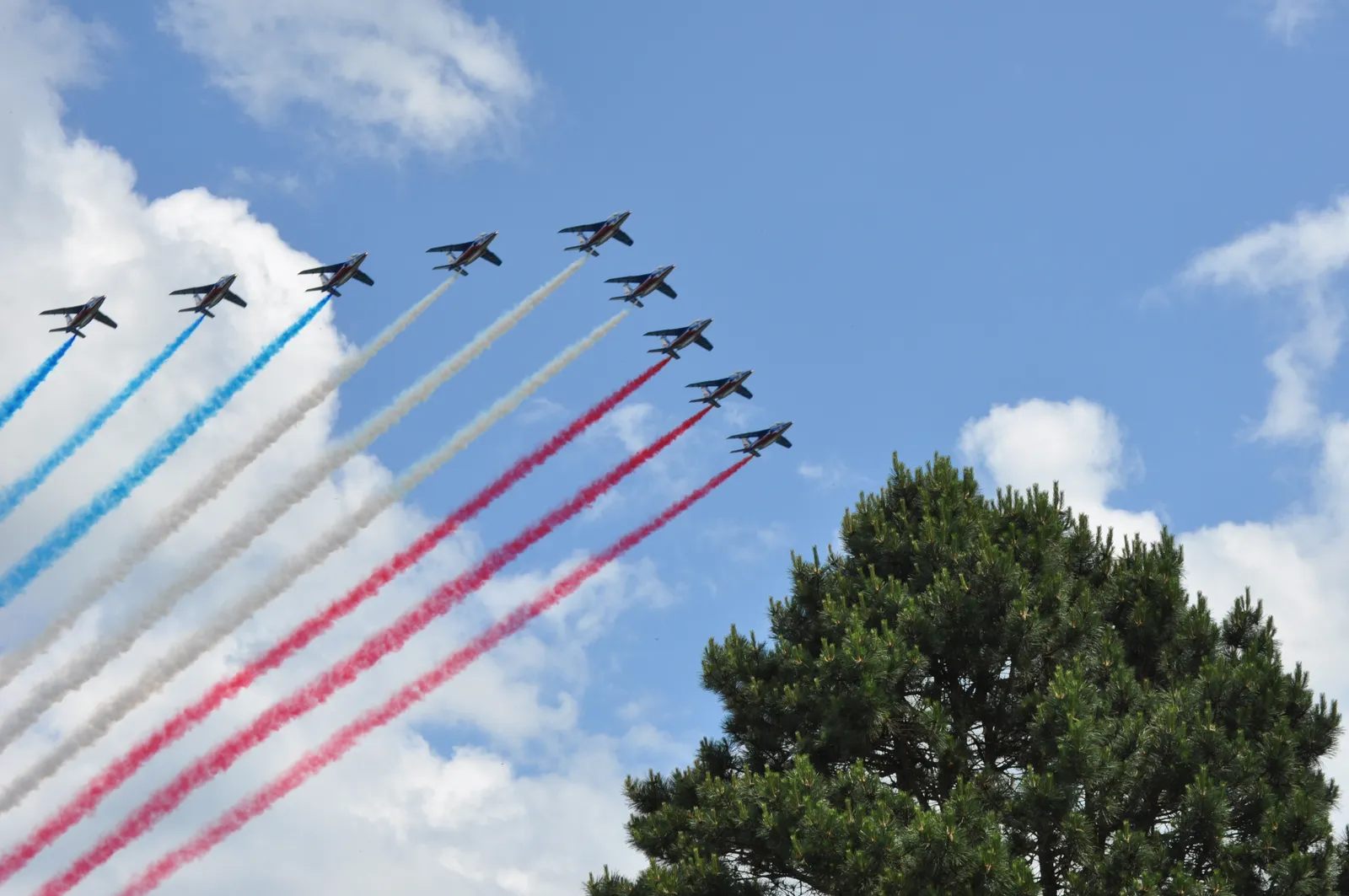 Delaware Air Show 2024 Thrilling Spectacle in the Sky
