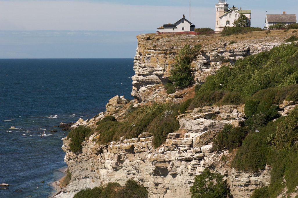 A photo of a cliff with a lighthouse. Birds can be seen standing on the cliff. 