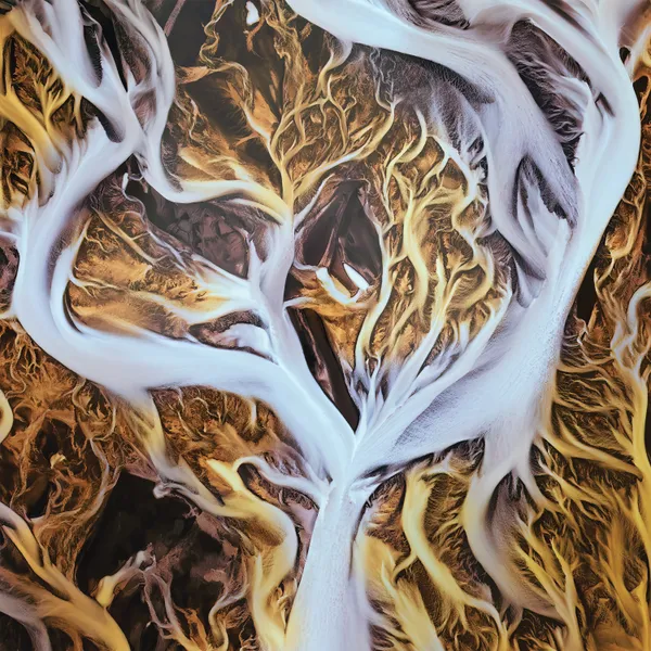 Lettuce Leaf - quadrat thumbnail