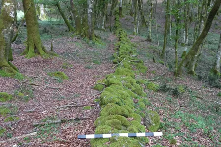 The ancient wall was discovered in a forest in southern Italy.