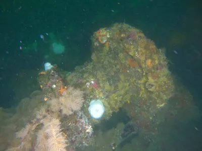 Underwater scene with a shape covered in marine growth