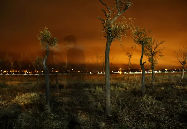 Night flight next to the trees 2 thumbnail