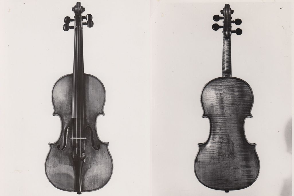 Violin
