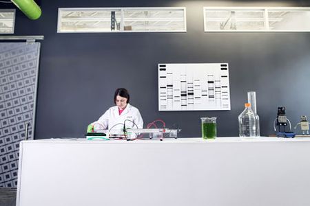 This summer, DNA 11 established the very first genetics lab devoted to art.