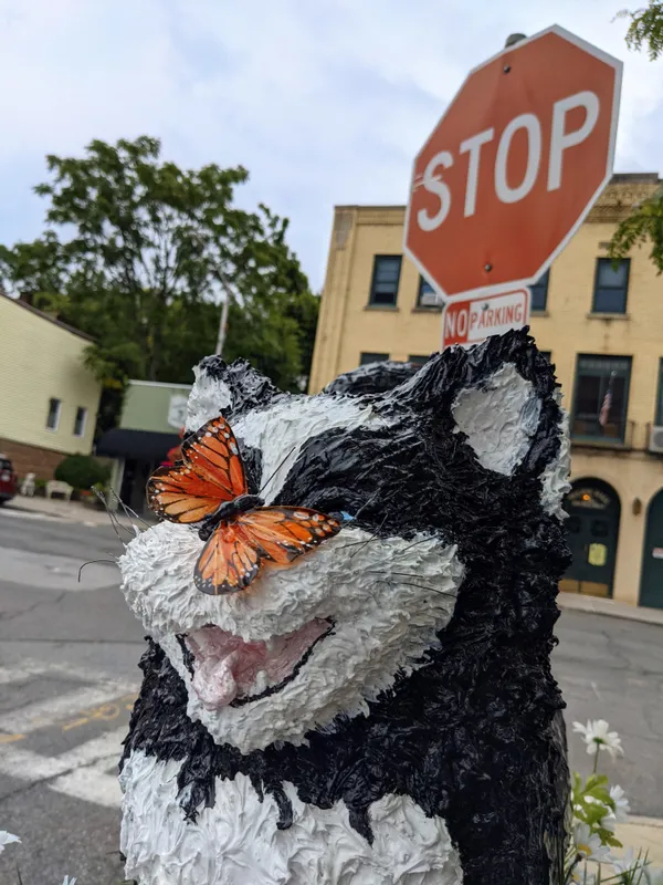 Stop Butterfly! There's No Parking thumbnail