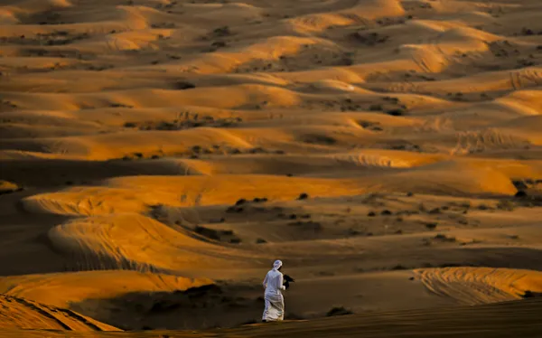 Thrilling journey on sand dunes with Dubai desert safari thumbnail