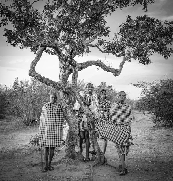 A group of Maasai warriors pose beneath a tree in Kenya. thumbnail