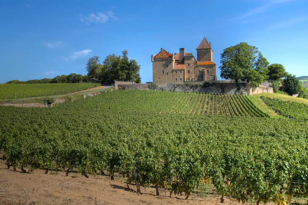 Scenic views from your bicycle near Mâcon
