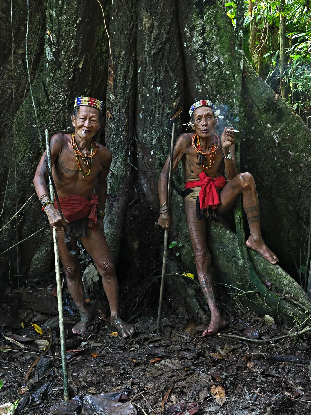  Mentawai  Tribesman in the forest Smithsonian Photo 