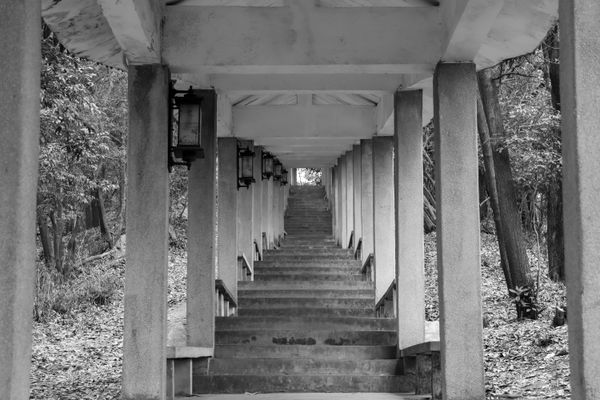 Pause Along the Way thumbnail