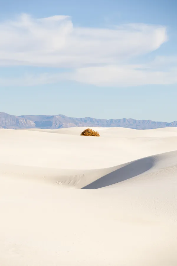 In a sea of sand thumbnail